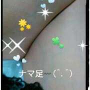 ヒメ日記 2025/08/24 11:06 投稿 てる しゅうかつ倶楽部