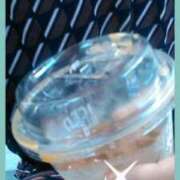 ヒメ日記 2025/08/24 14:14 投稿 てる しゅうかつ倶楽部