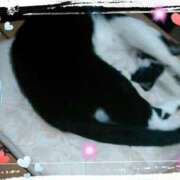 ヒメ日記 2025/08/26 17:06 投稿 てる しゅうかつ倶楽部