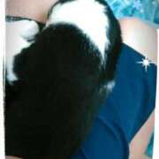 ヒメ日記 2025/08/27 10:06 投稿 てる しゅうかつ倶楽部