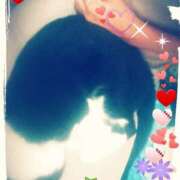 ヒメ日記 2025/08/31 22:45 投稿 てる しゅうかつ倶楽部