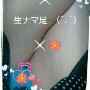 ヒメ日記 2025/09/15 10:44 投稿 てる しゅうかつ倶楽部