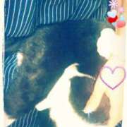 ヒメ日記 2025/10/11 11:10 投稿 てる しゅうかつ倶楽部