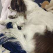 ヒメ日記 2026/01/21 15:02 投稿 なおみ しゅうかつ倶楽部