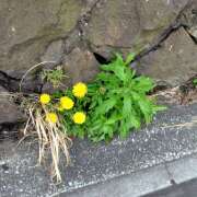 ヒメ日記 2026/04/10 09:22 投稿 なおみ しゅうかつ倶楽部