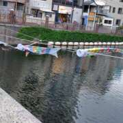 ヒメ日記 2026/05/03 18:42 投稿 なおみ しゅうかつ倶楽部