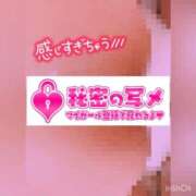 のん 明日は出勤♡ 丸妻 厚木店