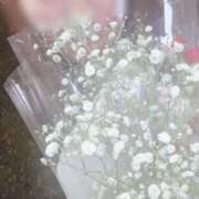 ヒメ日記 2025/11/20 15:15 投稿 カスミ秘書 秘書の品格 クラブアッシュ ヴァリエ