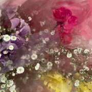 ヒメ日記 2025/12/31 09:05 投稿 カスミ秘書 秘書の品格 クラブアッシュ ヴァリエ