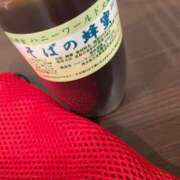 ヒメ日記 2026/09/15 08:33 投稿 カスミ秘書 秘書の品格 クラブアッシュ ヴァリエ
