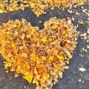 ヒメ日記 2025/12/15 00:04 投稿 みう CLUB PIAA