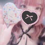 ヒメ日記 2025/02/03 00:23 投稿 てん お姉ちゃんゴメンね