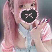 ヒメ日記 2025/02/15 23:02 投稿 てん お姉ちゃんゴメンね