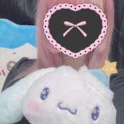 ヒメ日記 2025/02/18 02:16 投稿 てん お姉ちゃんゴメンね