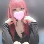 ヒメ日記 2025/05/19 19:26 投稿 てん お姉ちゃんゴメンね