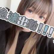 ヒメ日記 2024/12/28 16:18 投稿 いちか もしもし亀よ亀さんよ 名古屋店