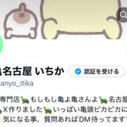 ヒメ日記 2024/12/29 19:20 投稿 いちか もしもし亀よ亀さんよ 名古屋店
