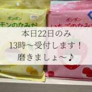 ヒメ日記 2025/01/22 08:20 投稿 いちか もしもし亀よ亀さんよ 名古屋店