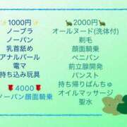 ヒメ日記 2025/01/24 00:29 投稿 いちか もしもし亀よ亀さんよ 名古屋店