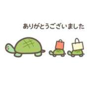 ヒメ日記 2025/02/02 01:44 投稿 いちか もしもし亀よ亀さんよ 名古屋店