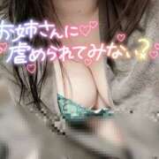 ヒメ日記 2025/02/02 11:56 投稿 いちか もしもし亀よ亀さんよ 名古屋店