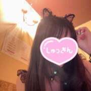 ヒメ日記 2025/02/20 14:29 投稿 いちか もしもし亀よ亀さんよ 名古屋店