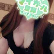 ヒメ日記 2025/02/21 20:37 投稿 いちか もしもし亀よ亀さんよ 名古屋店