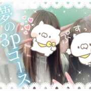 ヒメ日記 2025/02/24 16:53 投稿 いちか もしもし亀よ亀さんよ 名古屋店