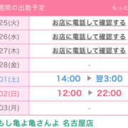 ヒメ日記 2025/02/25 15:15 投稿 いちか もしもし亀よ亀さんよ 名古屋店