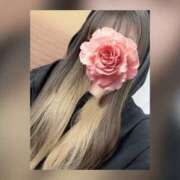 ヒメ日記 2025/04/11 14:42 投稿 いちか もしもし亀よ亀さんよ 名古屋店