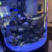 ヒメ日記 2025/04/14 00:02 投稿 いちか もしもし亀よ亀さんよ 名古屋店