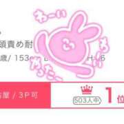 ヒメ日記 2025/04/29 22:45 投稿 いちか もしもし亀よ亀さんよ 名古屋店