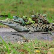 ヒメ日記 2025/04/30 20:44 投稿 いちか もしもし亀よ亀さんよ 名古屋店