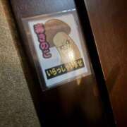 ヒメ日記 2025/06/16 02:36 投稿 いちか もしもし亀よ亀さんよ 名古屋店