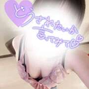 ヒメ日記 2025/06/30 11:49 投稿 いちか もしもし亀よ亀さんよ 名古屋店