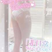 ヒメ日記 2025/04/07 10:57 投稿 もか abc＋