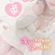 ヒメ日記 2025/04/07 20:28 投稿 もか abc＋