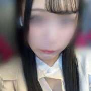 ヒメ日記 2025/06/23 12:00 投稿 しおり ダイスキ