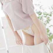 ヒメ日記 2025/12/27 16:30 投稿 しおり ダイスキ