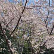 ヒメ日記 2025/04/06 21:15 投稿 ゆきら BUNNY（バニー）十三店