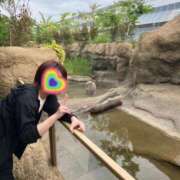 ヒメ日記 2025/05/22 20:42 投稿 ゆきら BUNNY（バニー）十三店