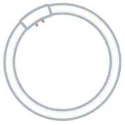 じゅん 大屋根リング フォーシーズン