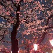 ヒメ日記 2025/04/13 19:25 投稿 ゆきな 逆バニーメンズエステ とろとろオイルSPA