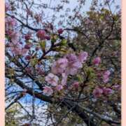 ヒメ日記 2026/03/01 12:46 投稿 まき キスMy