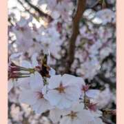 ヒメ日記 2026/04/05 18:30 投稿 まき キスMy