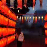 ヒメ日記 2025/05/11 21:03 投稿 恋雪【コユキ】 輝女