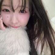 ヒメ日記 2025/02/28 15:02 投稿 りいさ ジャパンクラブ富士