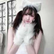 ヒメ日記 2025/04/08 00:10 投稿 りいさ ジャパンクラブ富士