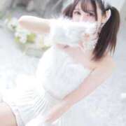 ヒメ日記 2025/05/03 12:06 投稿 りいさ ジャパンクラブ富士