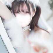 ヒメ日記 2025/07/13 17:22 投稿 りいさ ジャパンクラブ富士